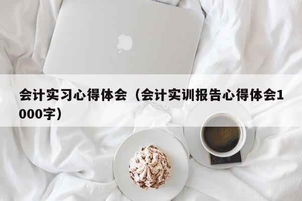 会计实习心得体会(会计实训报告心得体会1000字)