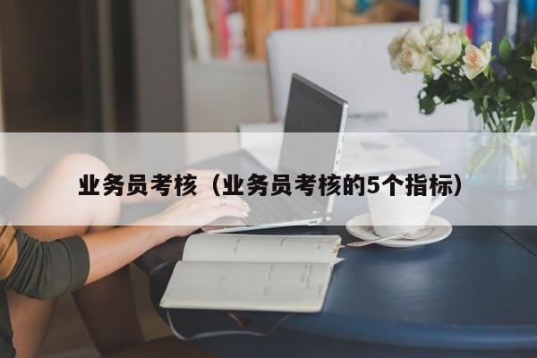 业务员考核(业务员考核的5个指标)