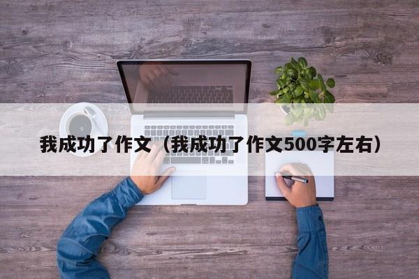 我成功了作文(我成功了作文500字左右)